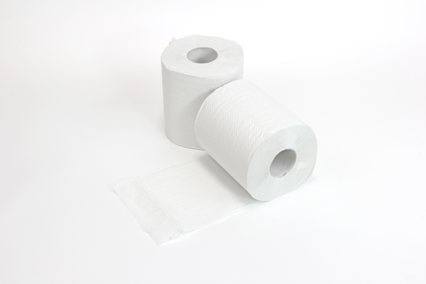 エコロジーパルナップ ダブル - （紙・不織布消耗品｜トイレット