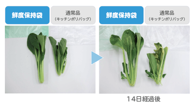 14日後の鮮度保持袋とキッチンポリ袋の鮮度比較画像