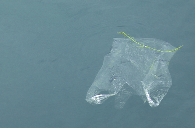 プラスチックごみ袋が海に浮かんでいる画像