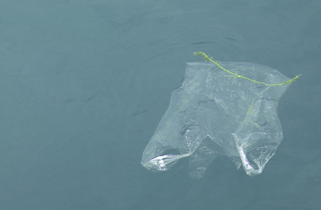 海にプラスチック袋が浮かぶ画像