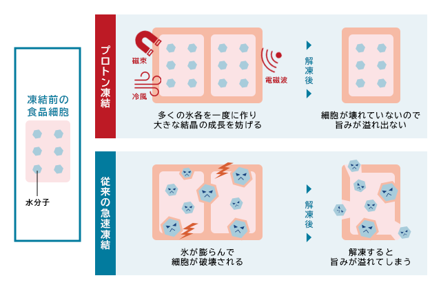 食品の品質を維持するプロトン凍結